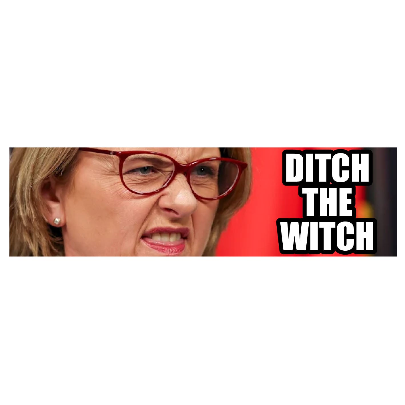 Mega Bumper Sticker - Ditch The Witch CRU18-21R-12217
