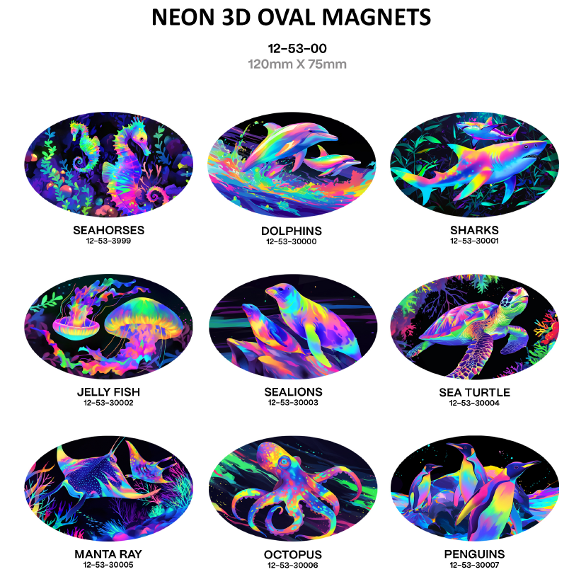3D Oval Magnets - Neon Range