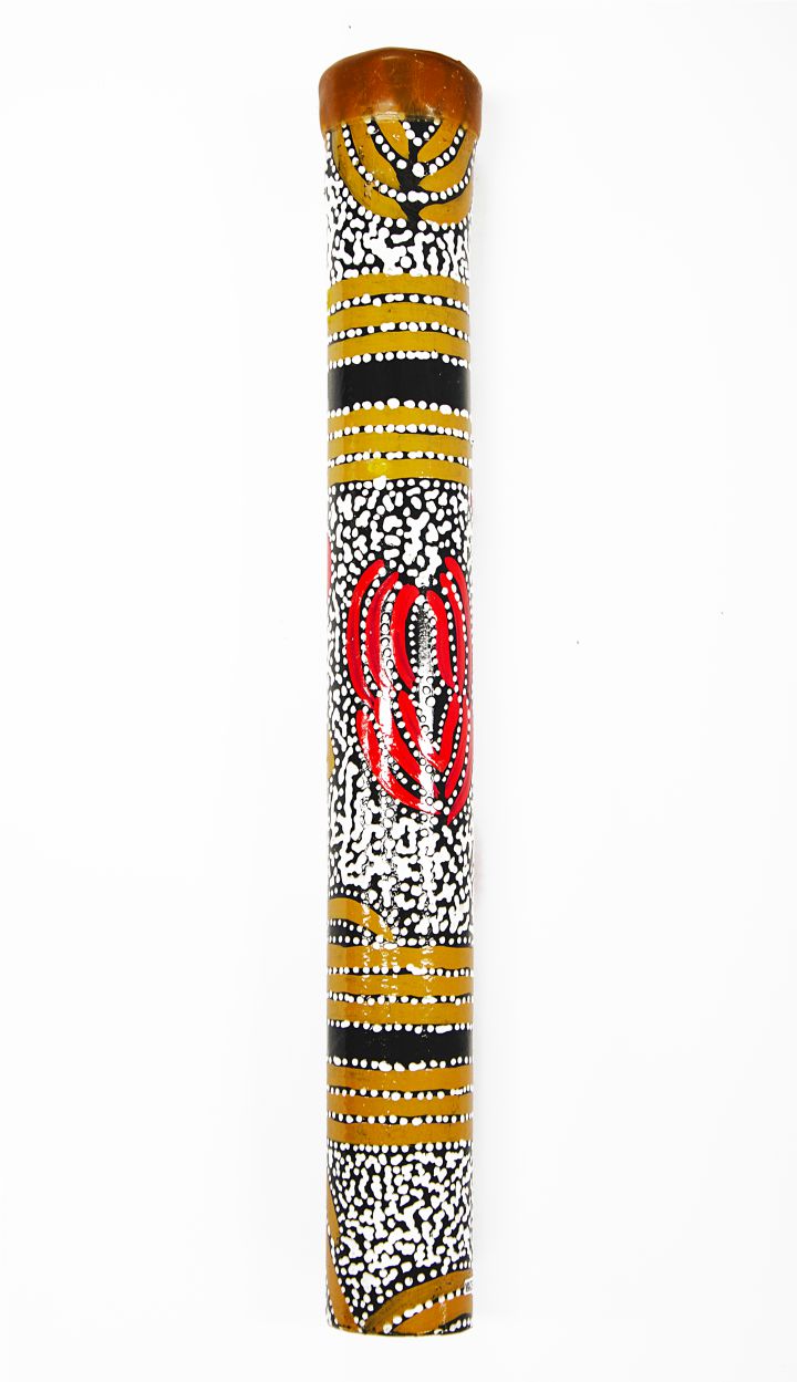 Didgeridoo - Debra McDonald