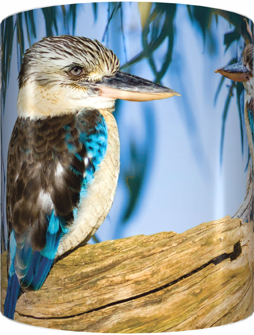 BLUE WINGED KOOKABURRA Mug Cup 300ml Gift Native Aussie Australia Animal Wildlife Birds - fair-dinkum-gifts