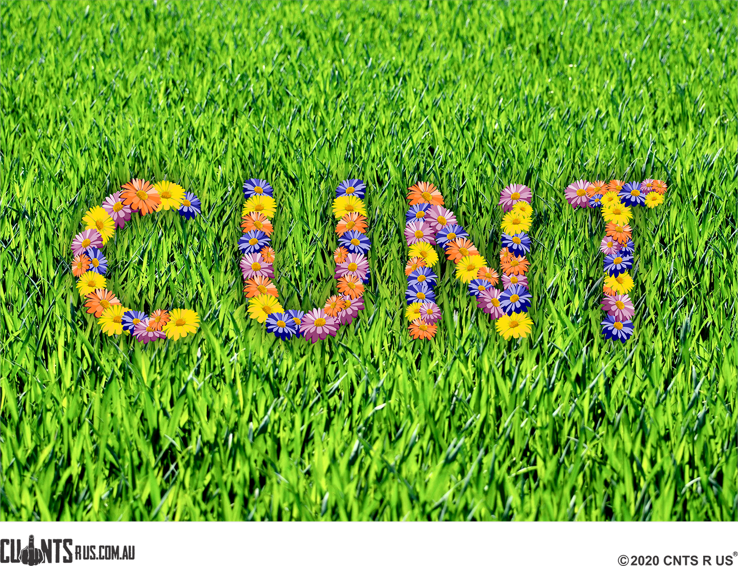 Flowery Cunt Decorative Placemat FDG26-22-8195