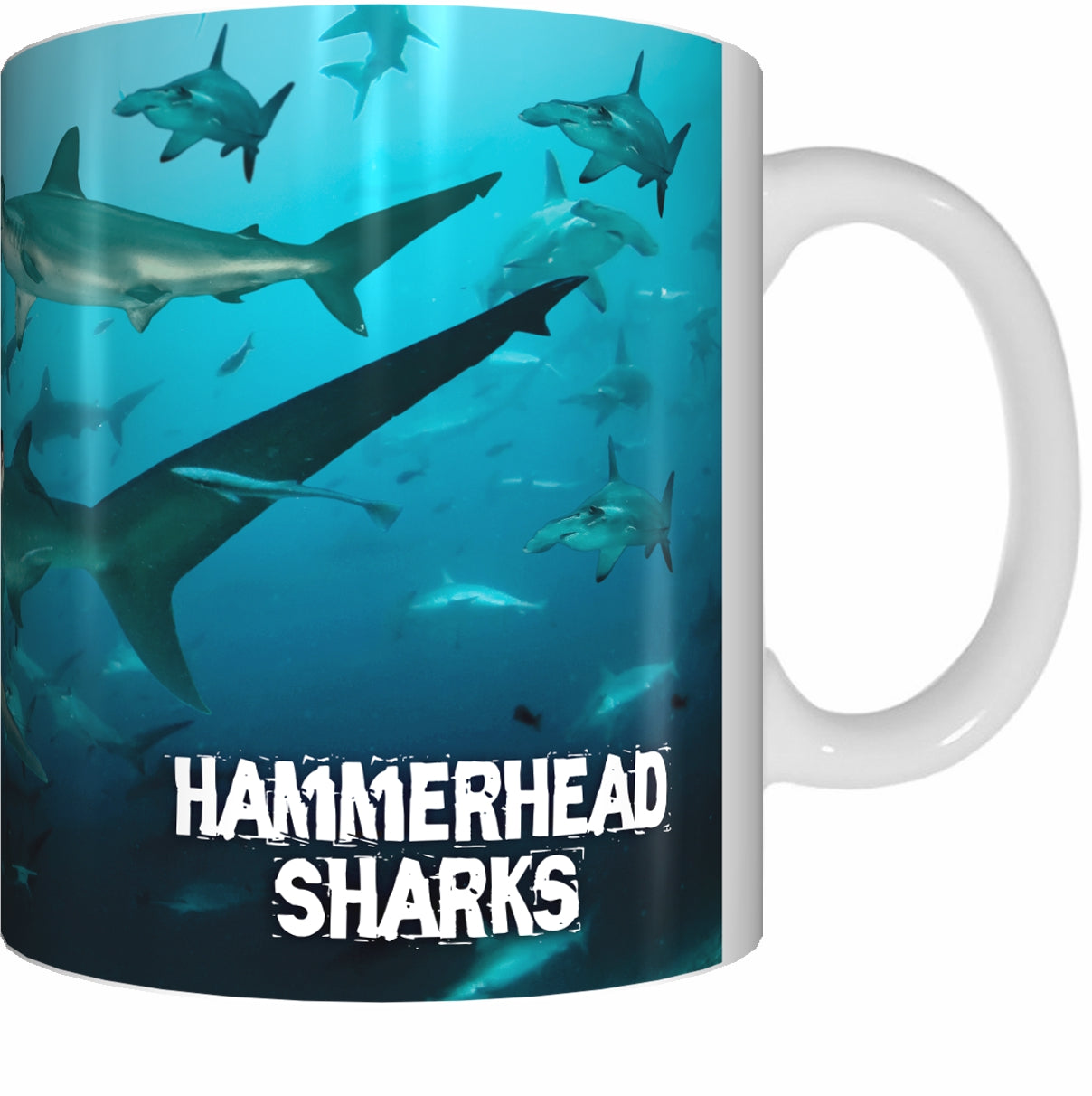 HAMMERHEAD SHARKS Mug Cup 300ml Gift Aussie Australia Animal Native Fish Sea Ocean Sharks - fair-dinkum-gifts