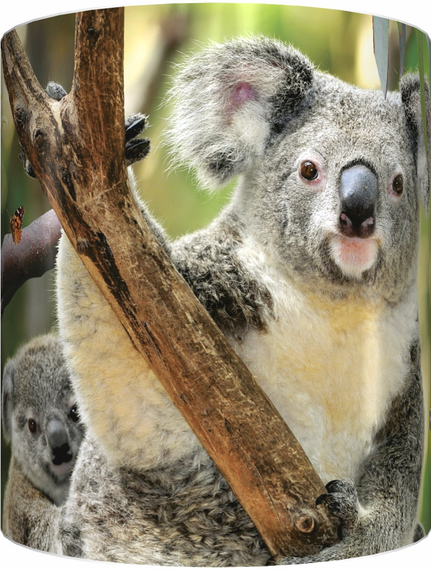 KOALA AND COCKATOO Mug Cup 300ml Gift Native Aussie Australia Animal Wildlife Birds Koalas Cockatoos - fair-dinkum-gifts