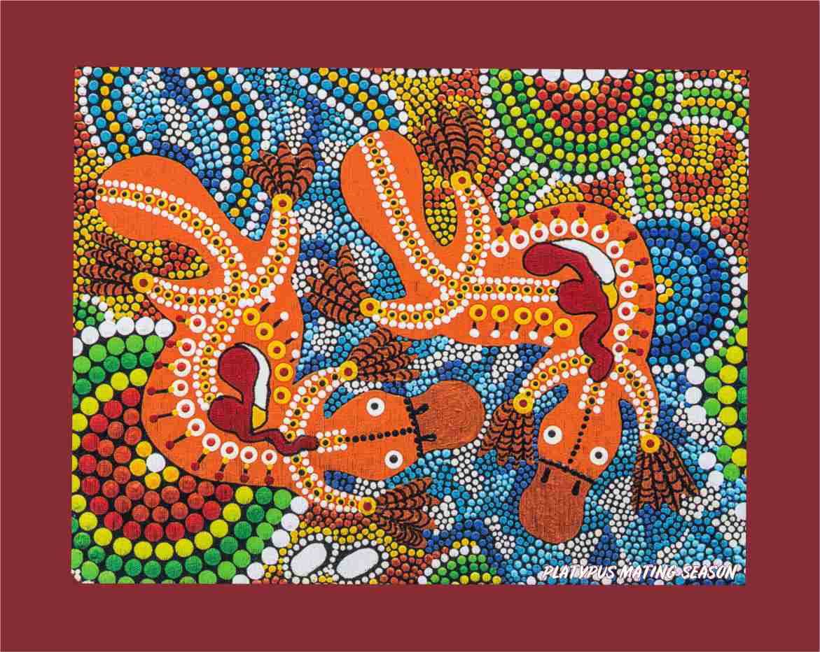 Canvas Art Print - Platypus Mating Season