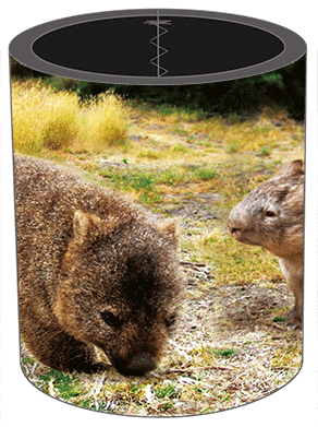 3D Stubby Holders Set of 4 Lenticular Printed Aussie Designs - 34 to choose from - fair-dinkum-gifts