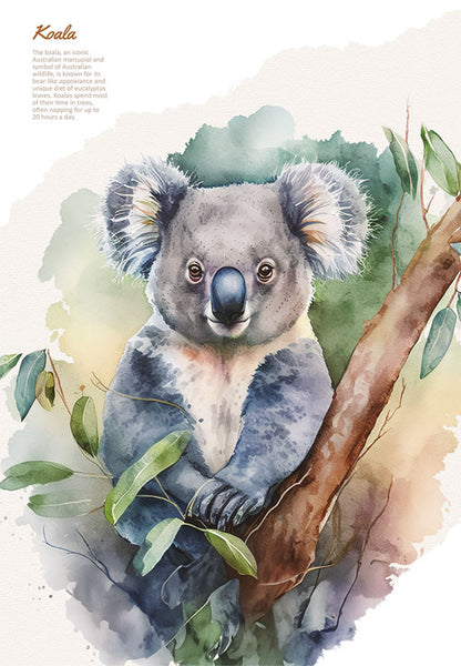 Watercolour Koala Cotton Teatowel 03-03-3889