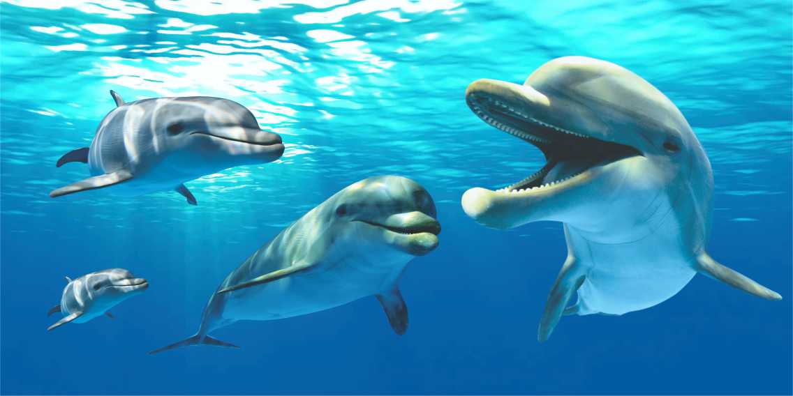 MICROFIBRE BEACH TOWELS