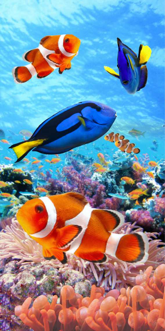 MICROFIBRE BEACH TOWELS