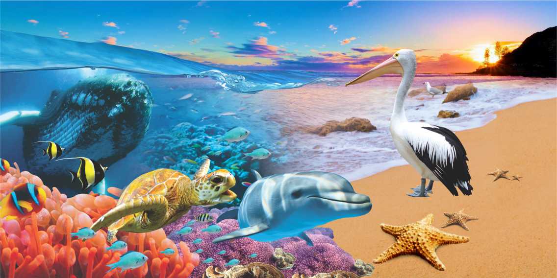 MICROFIBRE BEACH TOWELS