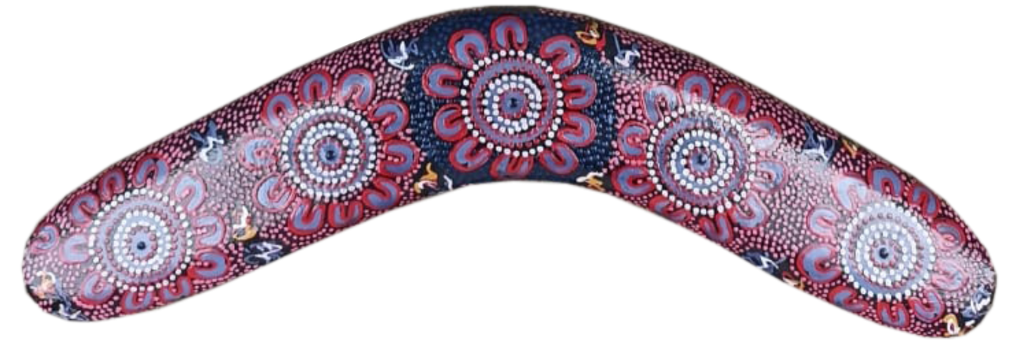 Boomerang - Women's Business By Merryn Apma