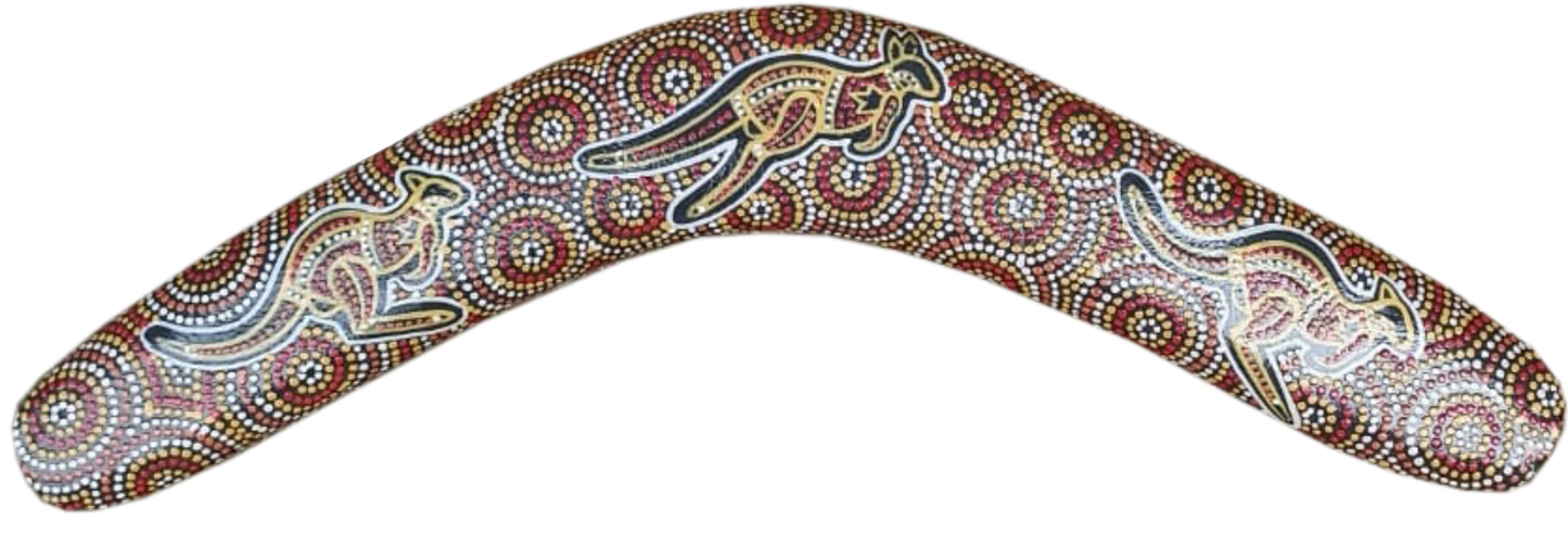 Boomerang - Desert Kangaroo By Susan Betts