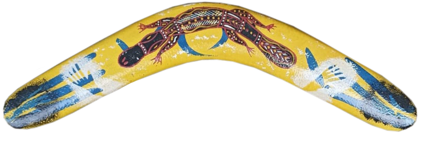 Boomerang - Platypus By Louis Enoch