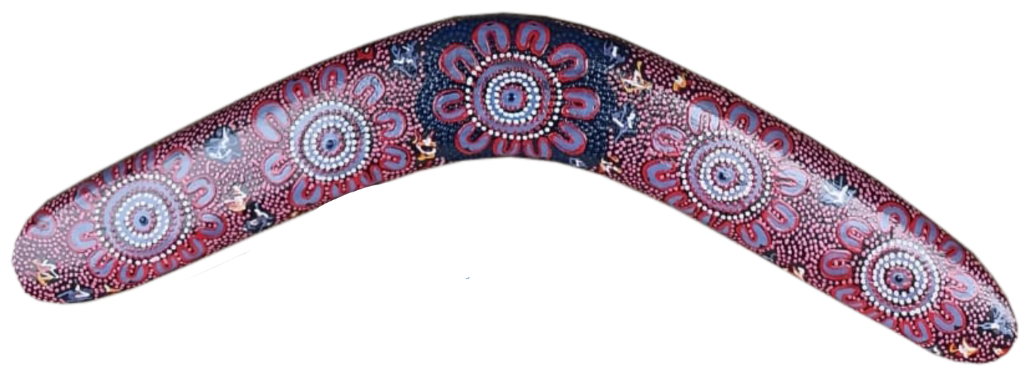 Boomerang - Women's Business By Merryn Apma