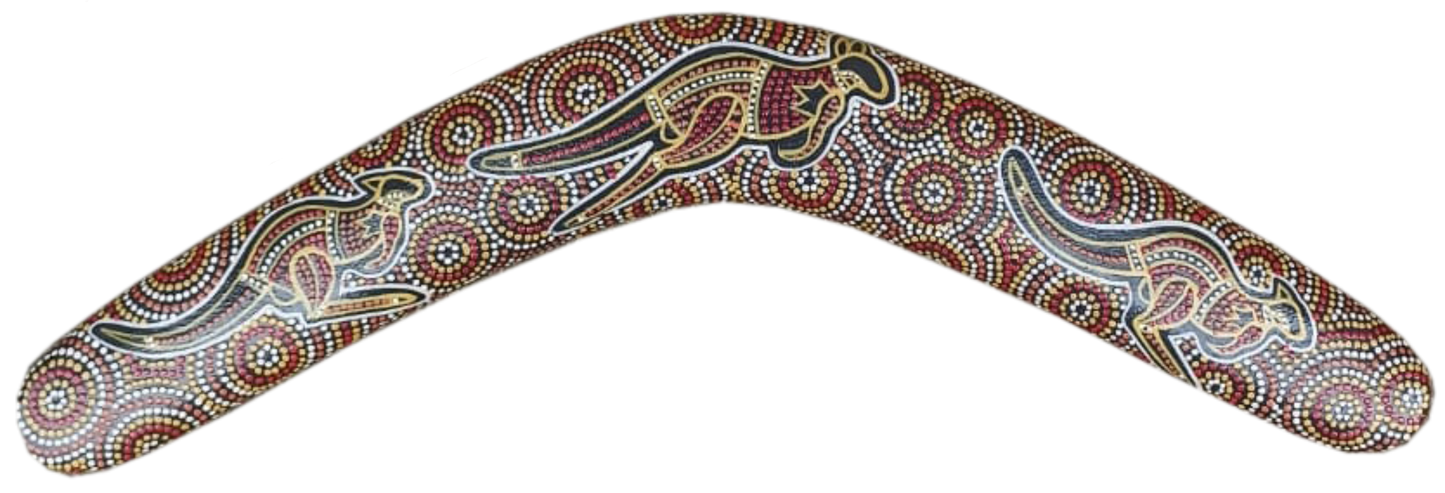 Boomerang - Desert Kangaroo By Susan Betts