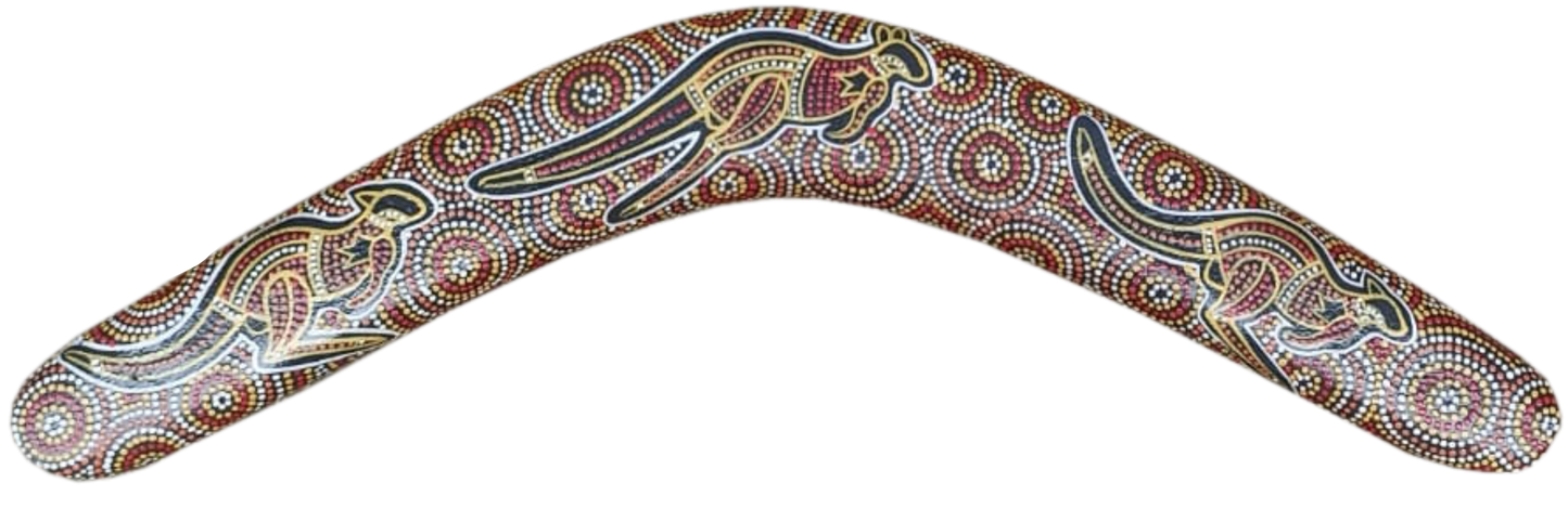 Boomerang - Desert Kangaroo By Susan Betts