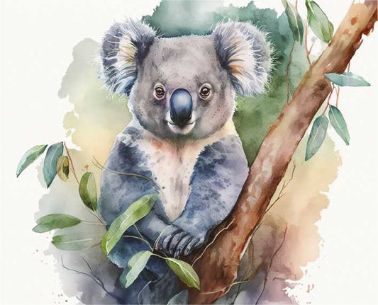 Set of 6 Placemats - Watercolour Koala