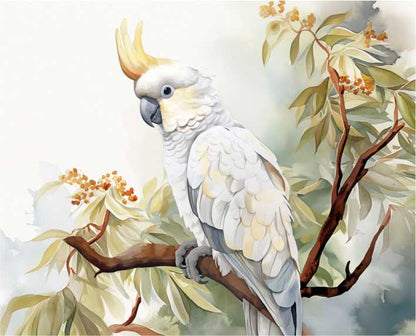 Set of 6 Placemats - Watercolour Cockatoo - Fair Dinkum Gifts