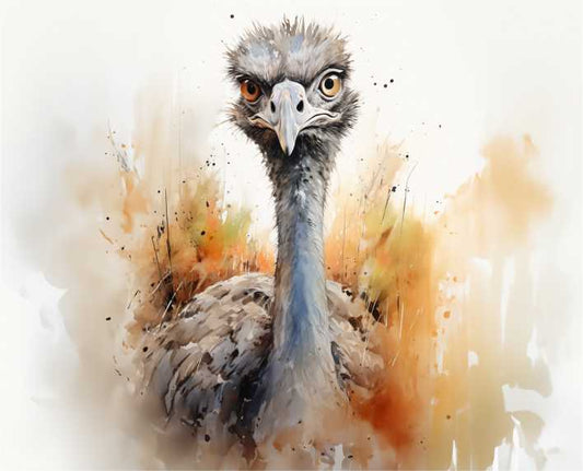 Set of 6 Placemats - Watercolour Emu