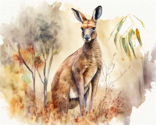 Set of 6 Placemats - Watercolour Red Kangaroo