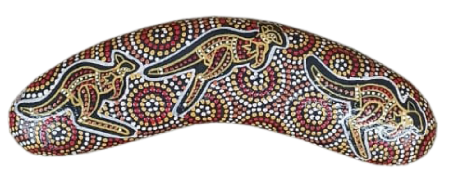 Boomerang - Desert Kangaroo By Susan Betts