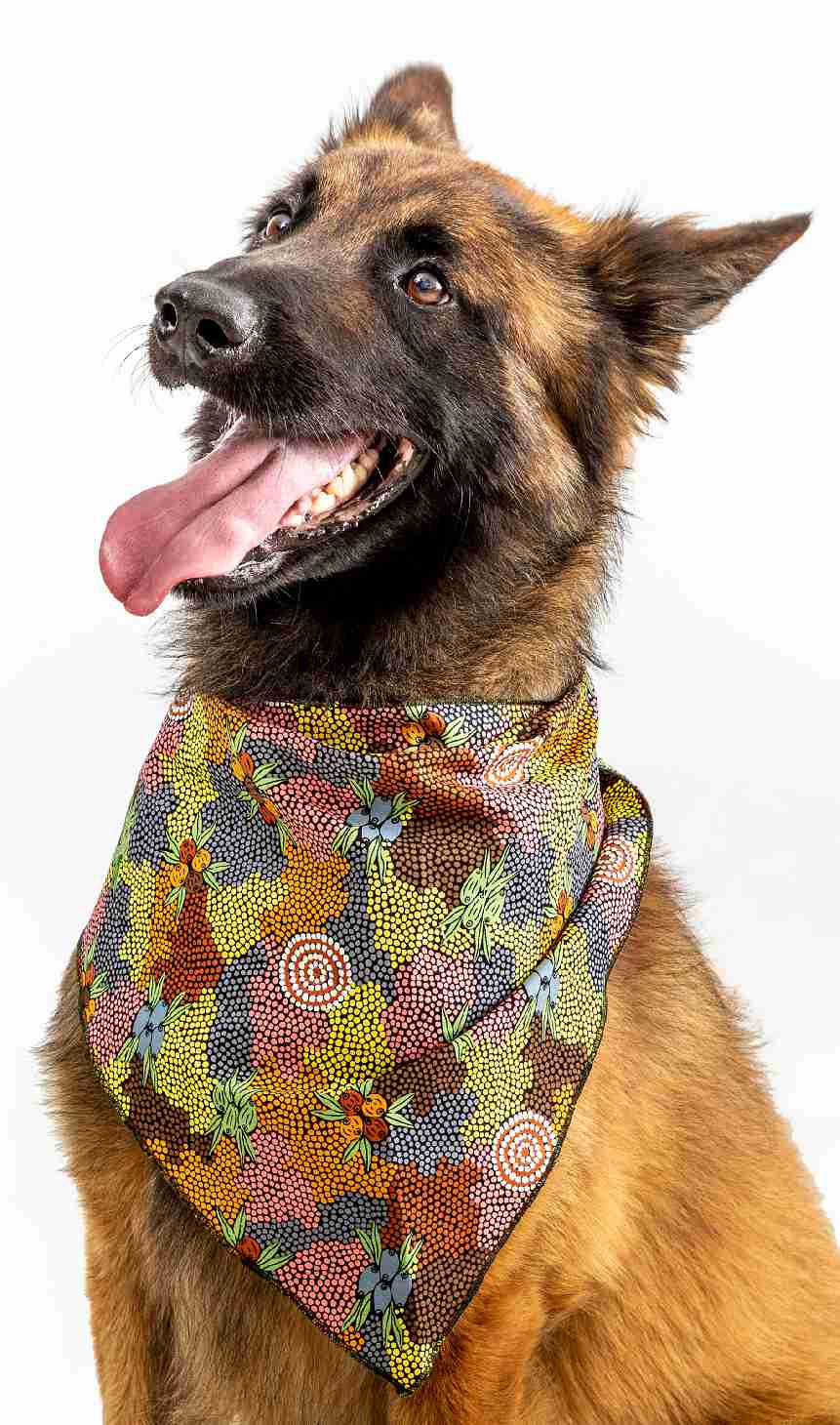 Doggie Bandanas - Art Downunder Designs - Fair Dinkum Gifts