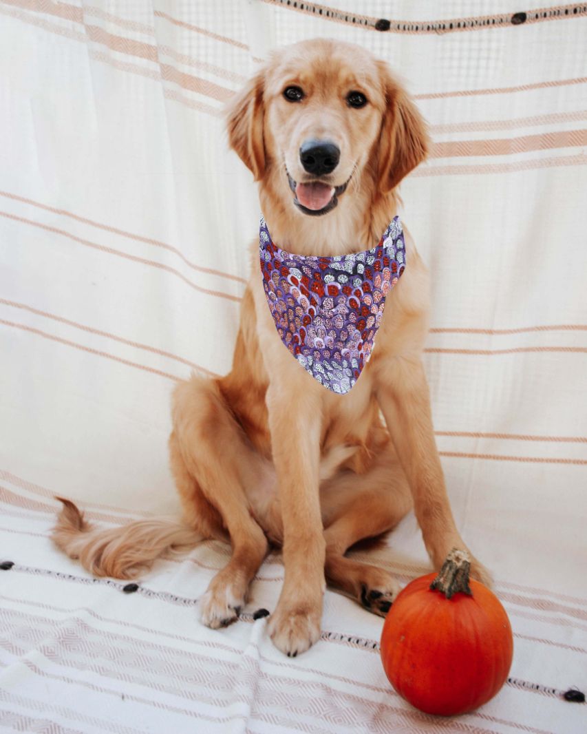 Doggie Bandanas - Gari Dari Designs - Fair Dinkum Gifts