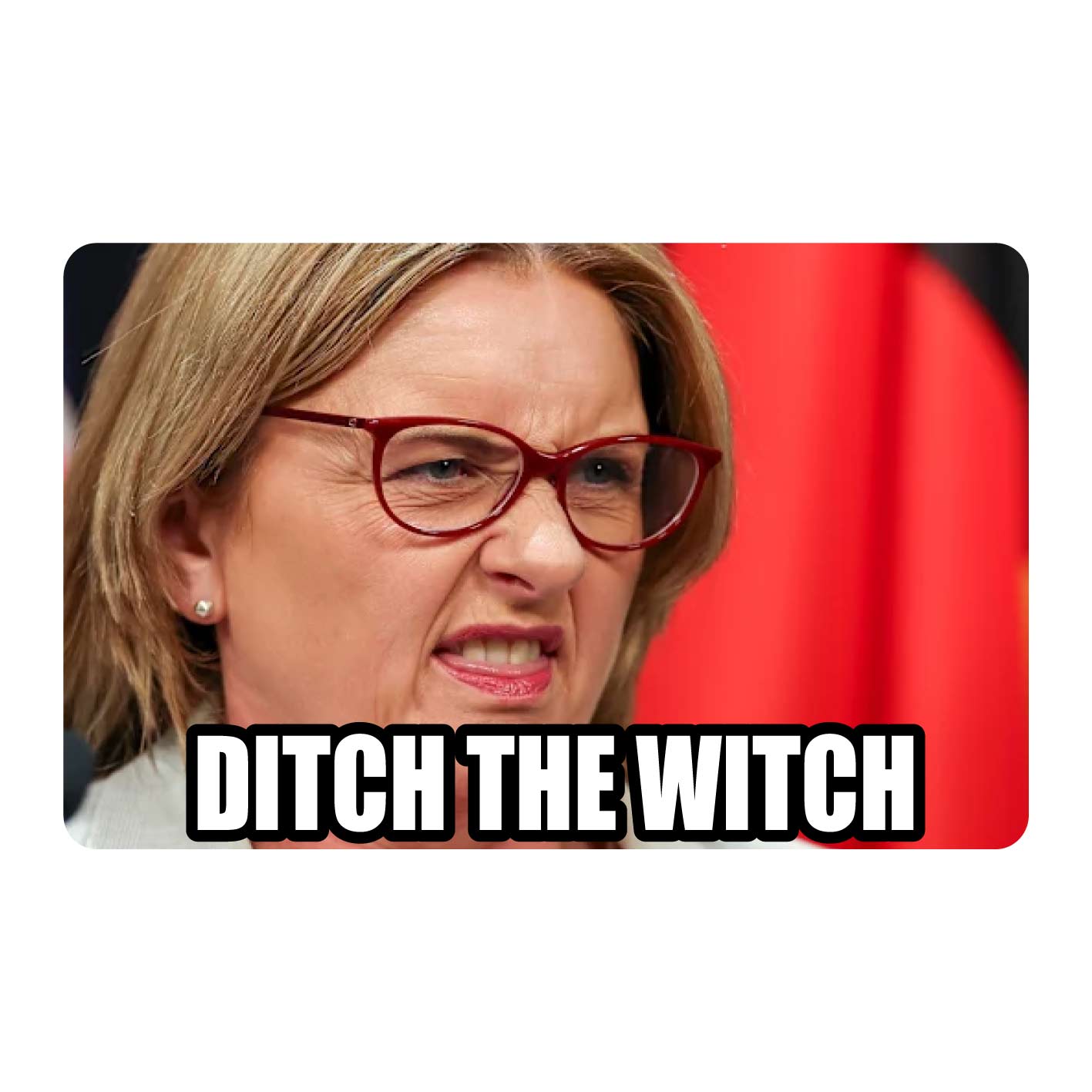 Ditch The Witch Fridge Magnet CRU12-27-12217