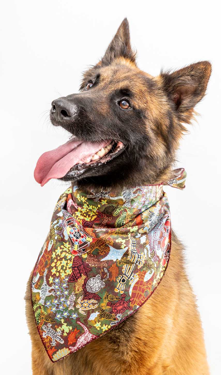 Doggie Bandanas - Art Downunder Designs - Fair Dinkum Gifts