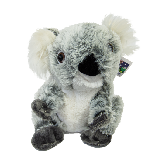 Katie Koala Plush Toy 22cm