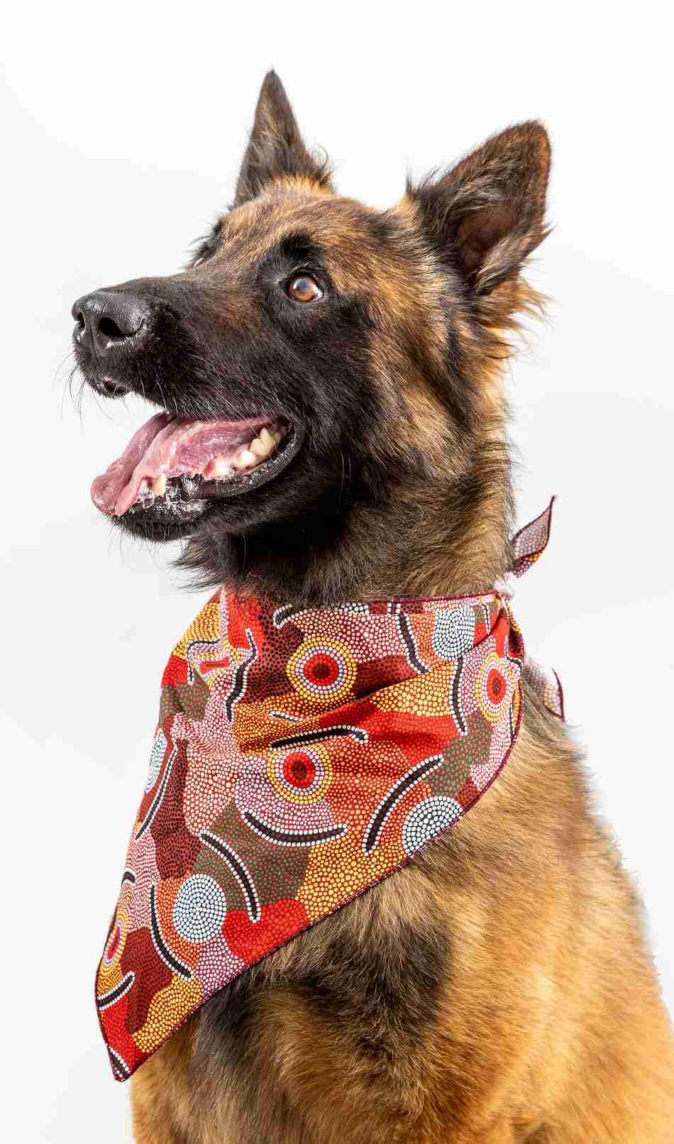 Doggie Bandanas - Art Downunder Designs - Fair Dinkum Gifts