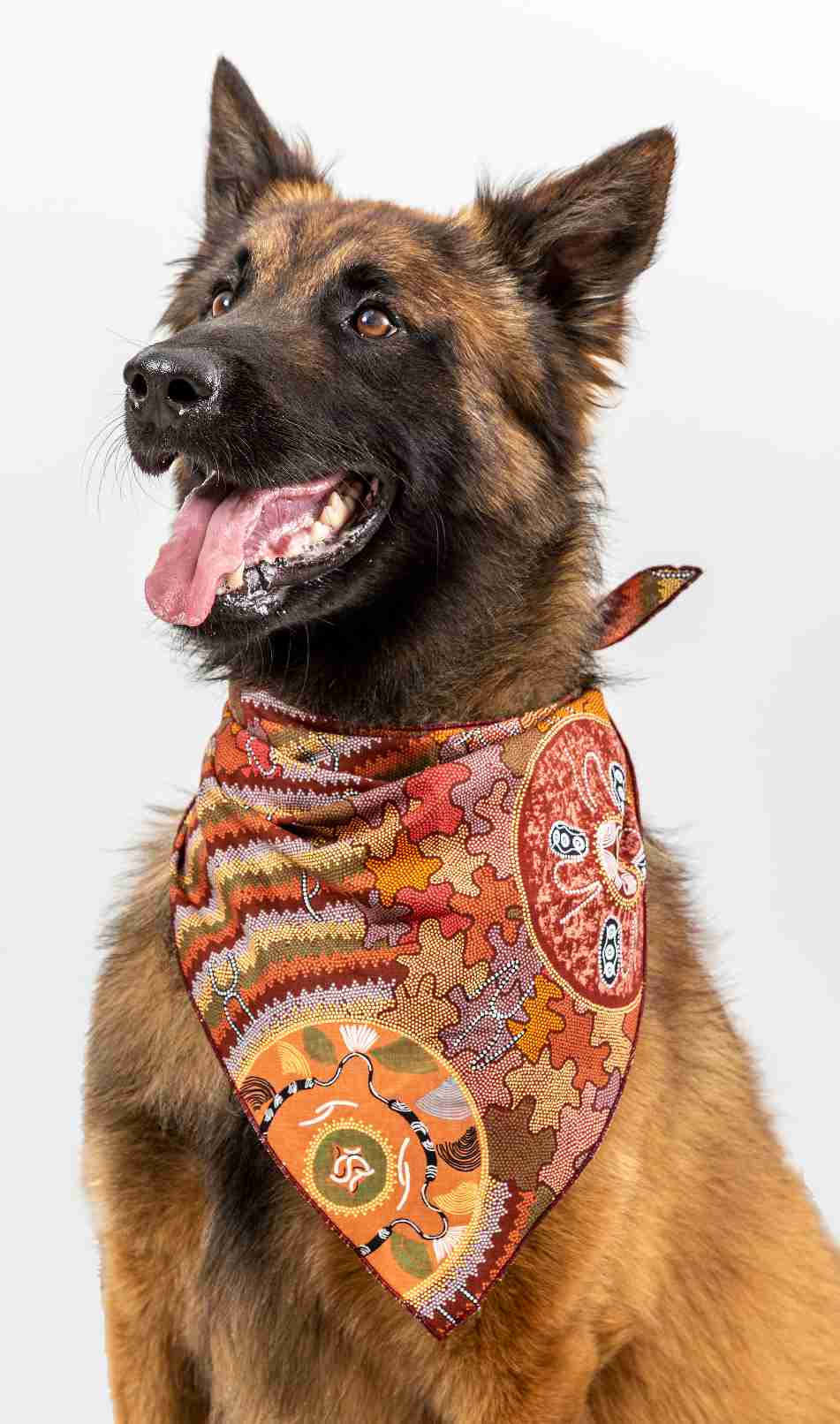 Doggie Bandanas - Art Downunder Designs - Fair Dinkum Gifts