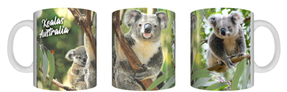 KOALAS AUSTRALIA Mug 325ml Gift Native Aussie Australia Animal Wildlife Baby Koalas Joeys - fair-dinkum-gifts