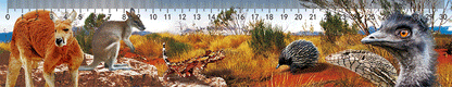 3D Ruler 30cm Aussie Animals Australian Native Designs Lenticular Printed - fair-dinkum-gifts