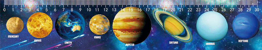 3D Ruler 30cm Aussie Animals Australian Native Designs Lenticular Printed - fair-dinkum-gifts