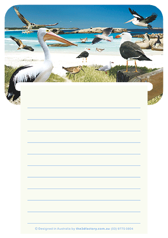 3D Magnetic Memo Pad Aussie Animals Australian Themes Notebook Fridge Magnet Note Pads - fair-dinkum-gifts