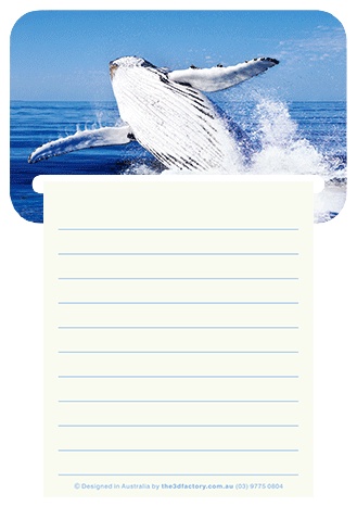 3D Magnetic Memo Pad Aussie Animals Australian Themes Notebook Fridge Magnet Note Pads - fair-dinkum-gifts