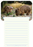3D Magnetic Memo Pad Aussie Animals Australian Themes Notebook Fridge Magnet Note Pads - fair-dinkum-gifts