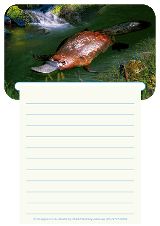 3D Magnetic Memo Pad Aussie Animals Australian Themes Notebook Fridge Magnet Note Pads - fair-dinkum-gifts