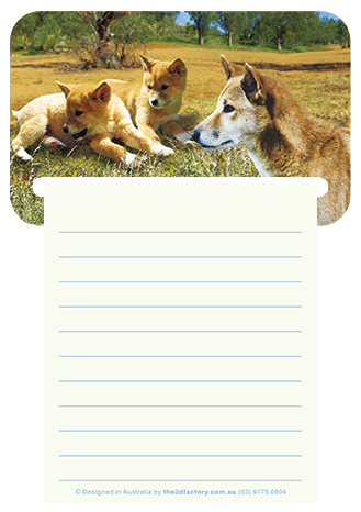 3D Magnetic Memo Pad Aussie Animals Australian Themes Notebook Fridge Magnet Note Pads - fair-dinkum-gifts