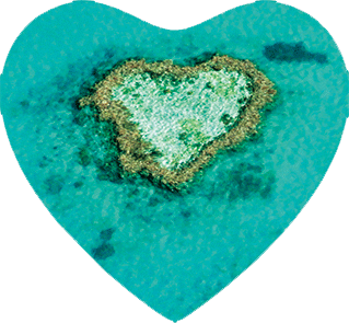 3D Heart Magnets Aussie Animals Australian Themes Fridge Magnets Love Hearts - fair-dinkum-gifts