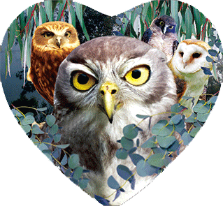 3D Heart Magnets Aussie Animals Australian Themes Fridge Magnets Love Hearts - fair-dinkum-gifts