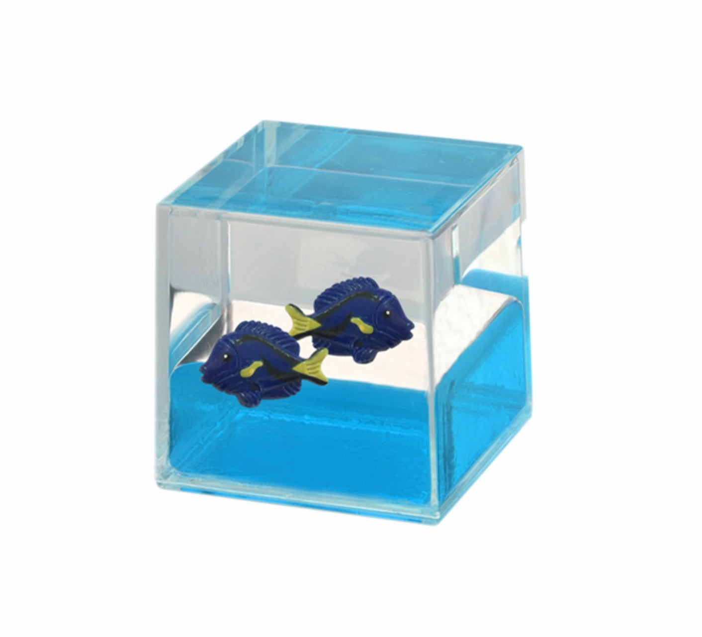 Oily Water Cubes Aussie Gifts Souvenirs Paperweights Coloured Liquid with Floaters - fair-dinkum-gifts