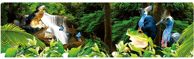 3D Bumper Stickers Aussie Animals Australian Souvenirs Lenticular Rectangle Stickers - fair-dinkum-gifts