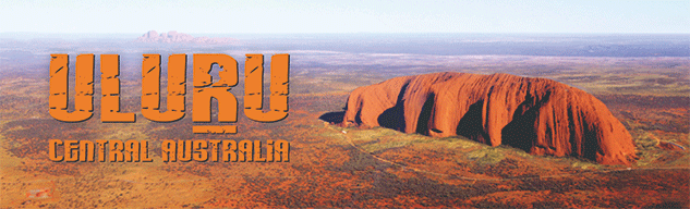 3D Bumper Stickers Aussie Animals Australian Souvenirs Lenticular Rectangle Stickers - fair-dinkum-gifts