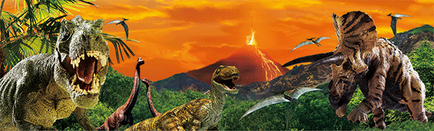 3D Bumper Stickers Aussie Animals Australian Souvenirs Lenticular Rectangle Stickers - fair-dinkum-gifts