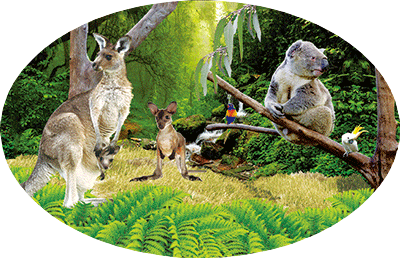 3D Oval Sticker Aussie Animals Australian Souvenirs Lenticular Bumper Stickers - fair-dinkum-gifts