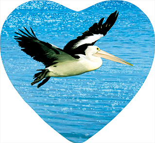 3D Heart Magnets Aussie Animals Australian Themes Fridge Magnets Love Hearts - fair-dinkum-gifts