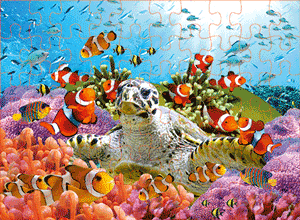 3D Jigsaw Puzzles Tins 60pc Aussie Animals Australian Games **NEW - JUST ARRIVED** - fair-dinkum-gifts