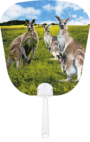 3D Fan Aussie Animals Australian Themes Souvenir Fans - fair-dinkum-gifts