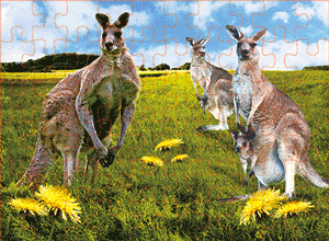 3D Jigsaw Puzzles Tins 60pc Aussie Animals Australian Games **NEW - JUST ARRIVED** - fair-dinkum-gifts